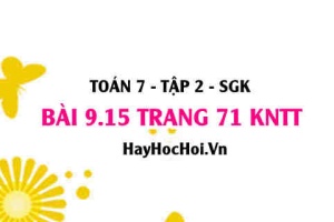 Bài 9.15 trang 71 Toán 7 Tập 2 Kết nối tri thức